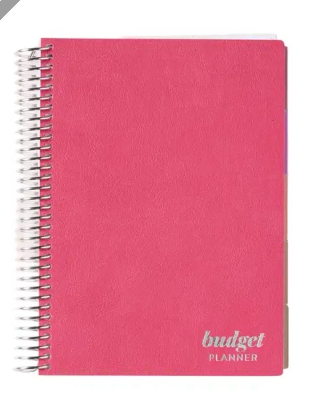 Erin Condren Budge planner